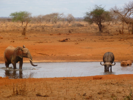 Kenia - Een ontmoeting