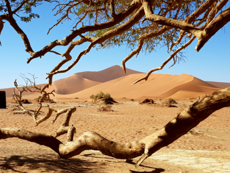 Sossusvlei - Namibie op ze mooist
