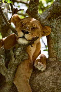 Tanzania - Is het al vakantie?