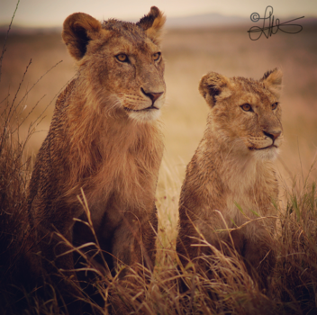 Tanzania - Moeder & dochter