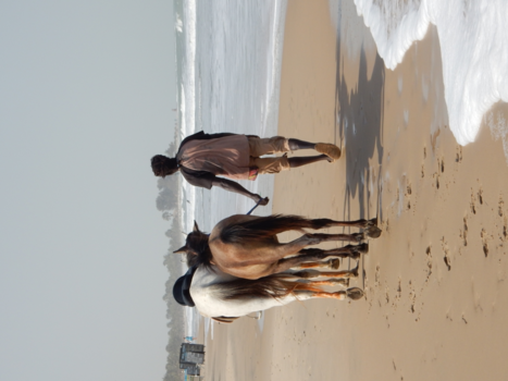 Gambia - never walk alone