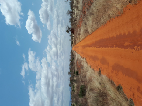 Kenia - Tsavo east