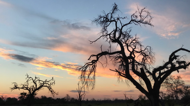 Okavango Delta - Look closely