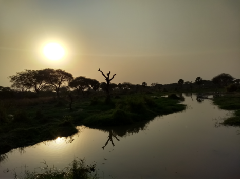 Murchison Falls national park - African sunset