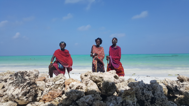 Stranden van Zanzibar - Beautiful Boys
