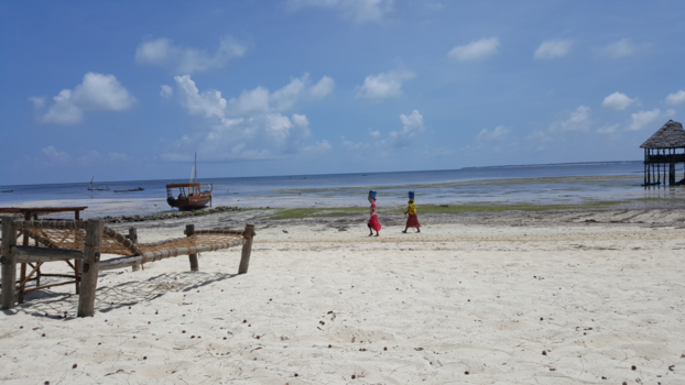 Stranden van Zanzibar - Locals op het strand