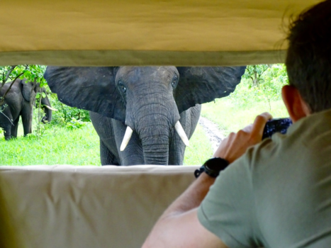 Liwonde National Park - Elephants chase