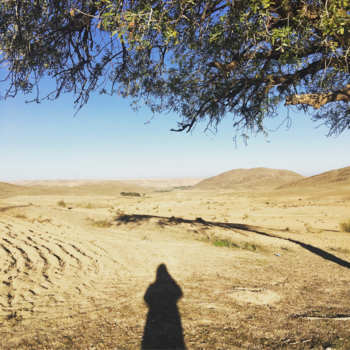 Atlasgebergte - Het ontzettend mooie Atlasgebergte 🌴💙