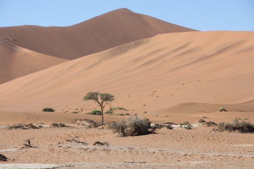 Namibië - Prachtige rode duinen