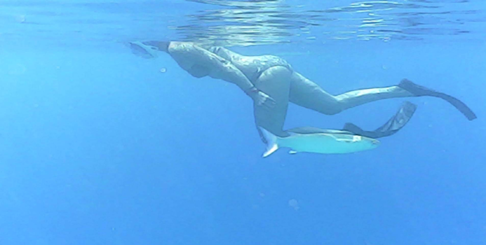 Egypte - Human vs.fish