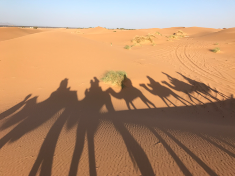 Marokko - Dwalend door de woestijn