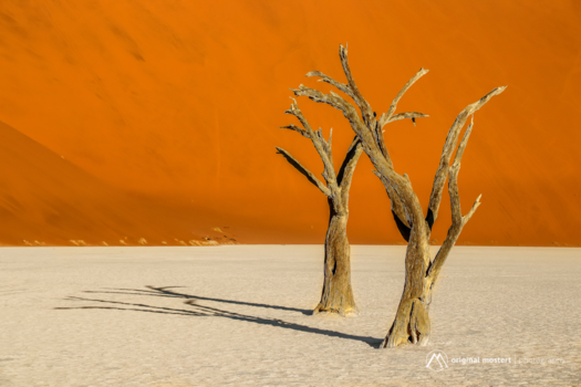 Sossusvlei - The Shadow...