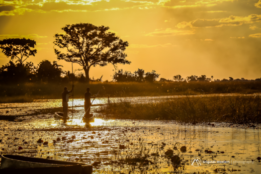 Okavango Delta - Dreams...