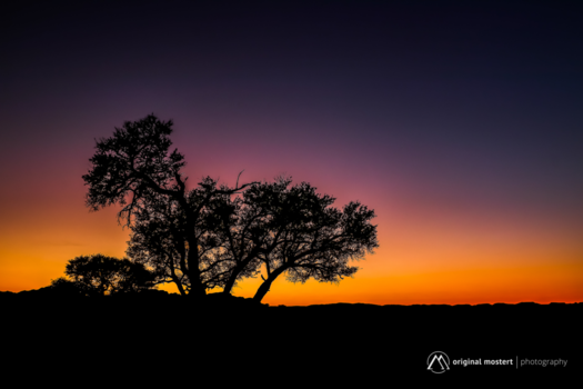 Sossusvlei - Goodmorning...