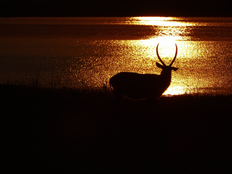 Malawi - zonsondergang