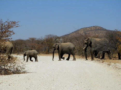 Namibië - 3 generaties in één beeld.