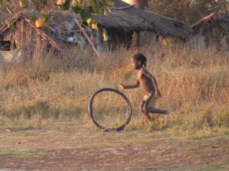 Avenue of the Baobabs - Groot plezier met een fietband