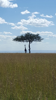 Kenia - Heerlijk afkoelen in de schaduw