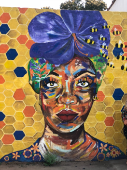 Victoria Falls of Mosi-oa-Tunya - Schilderij Bee, Livingstone, Zambia