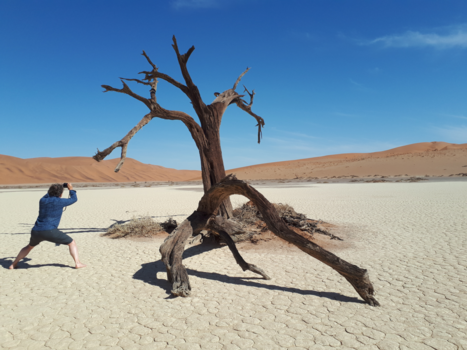 Namib-woestijn - Beeldrijm