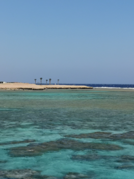 Egypte - Boottocht vanaf Hurghada