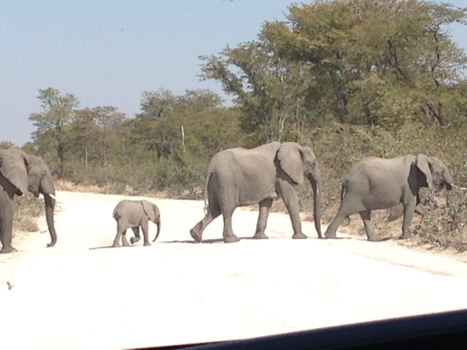 Botswana - Familie uitje