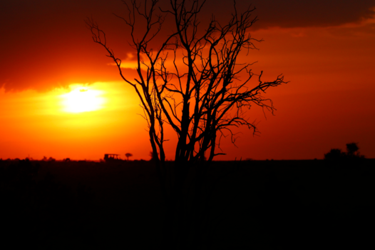 Serengeti National Park - Avond op de Serengeti.