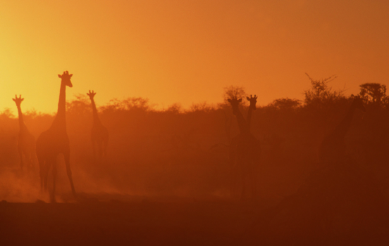 Etosha National Park - Sunset view