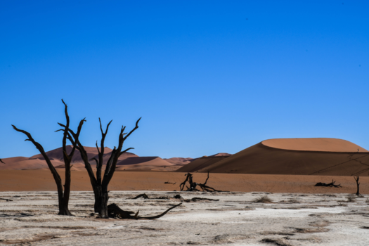Namibië - Puur natuur