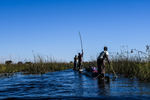 Botswana - Met een mokoro door de okavangadelta