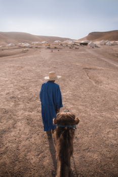 Marrakesh - Magical Marrakesh