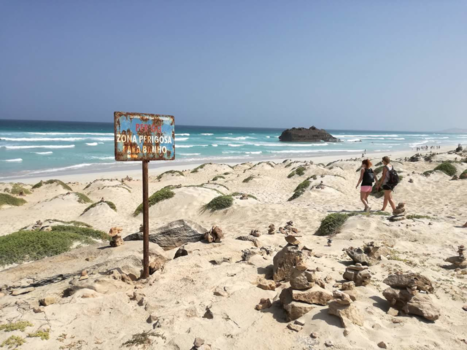 Boa Vista - A day at the turtlebeach
