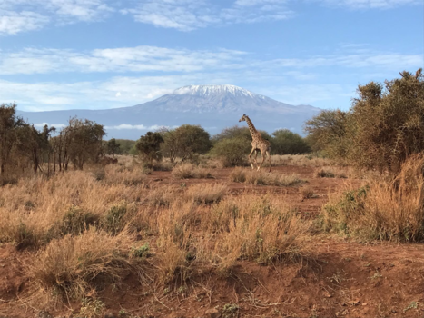 Amboseli National Park - Prachtig wildleven