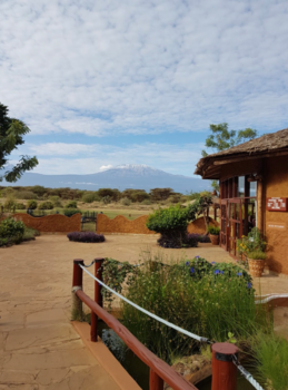 Amboseli National Park - Kilimanjaro