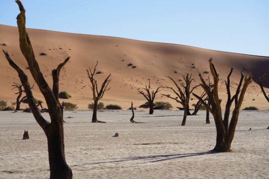 Namibië - Beautiful Death Valley Namibia