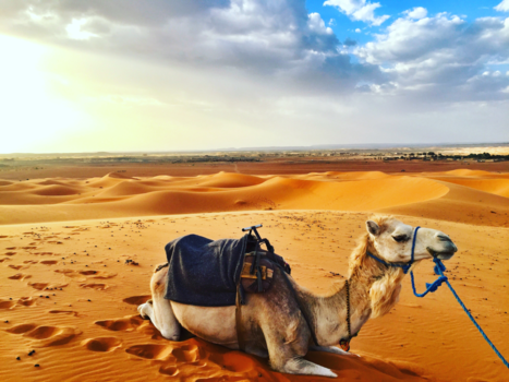 Marokko - Genieten van de zonsondergang midden in de woestijn van Marokko