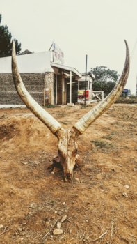 Uganda National Museum - Those need no introduction