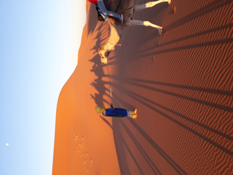 Marrakesh - Zooo stil in de woestijn..en adembenemend Mooi!