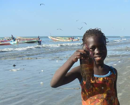 Gambia - Catch of the day