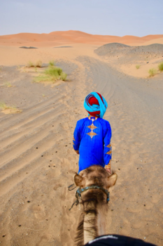 Merzouga - Sahara days