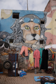 Marokko - Beware of the flying dog..