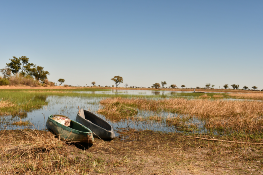 Botswana - Met een mokoro de Okavango Delta in