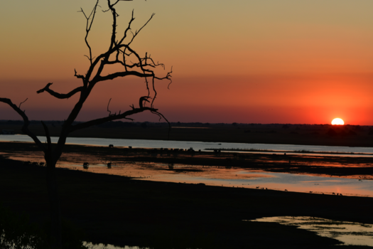 Botswana - Prachtige zons ondergang