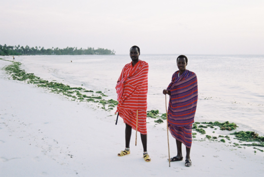 Stranden van Zanzibar - Baywatch