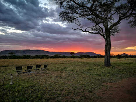 Serengeti National Park - Dramatic sunset above the serengeti NP