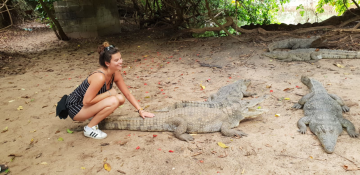 Kololi - crocodile pool