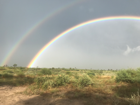 Botswana - Regenboog na een hagelbui in de Centraal Kalahari. Met 40 gr