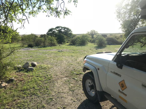 Botswana - Lekhubu Island.