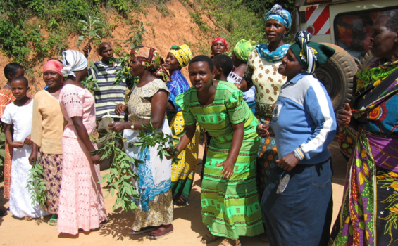 Tanzania - Trouwfeest onderweg in het Mkomazi National Park