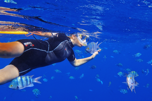 Egypte - Als een vis in het rode zee water